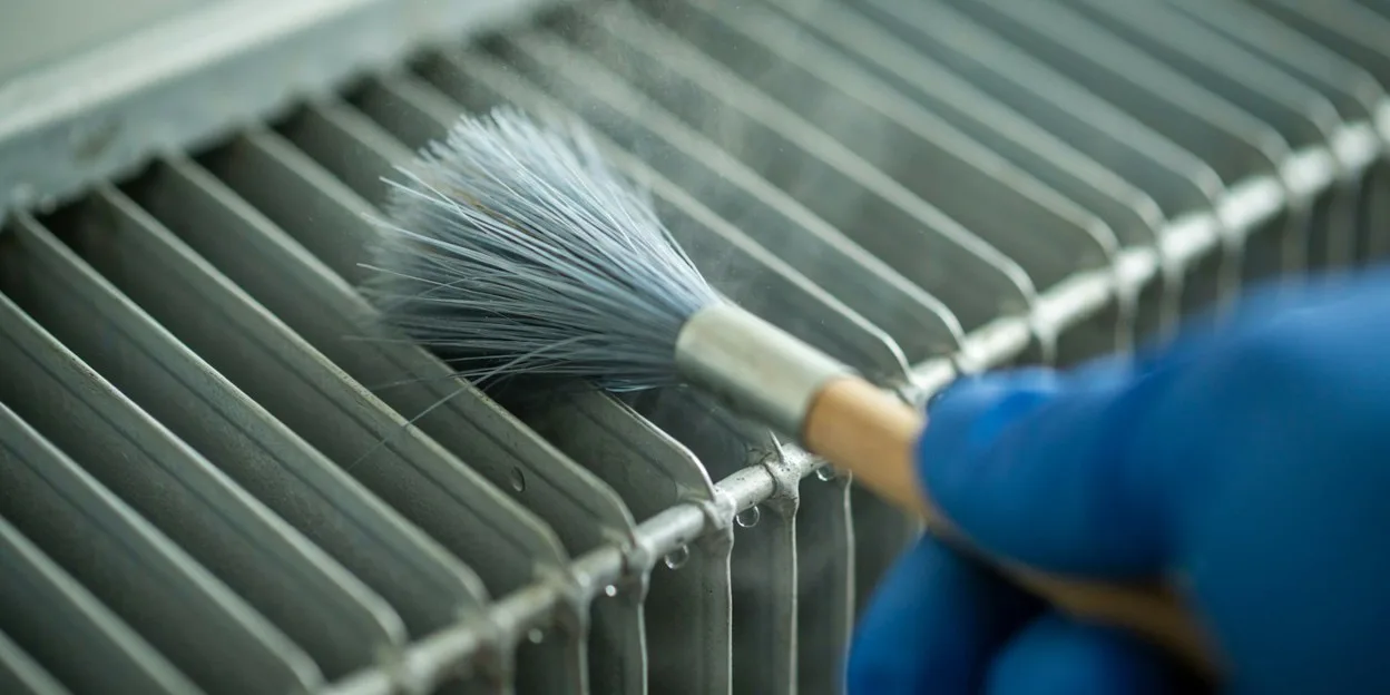 Mold removal in Carson City, NV